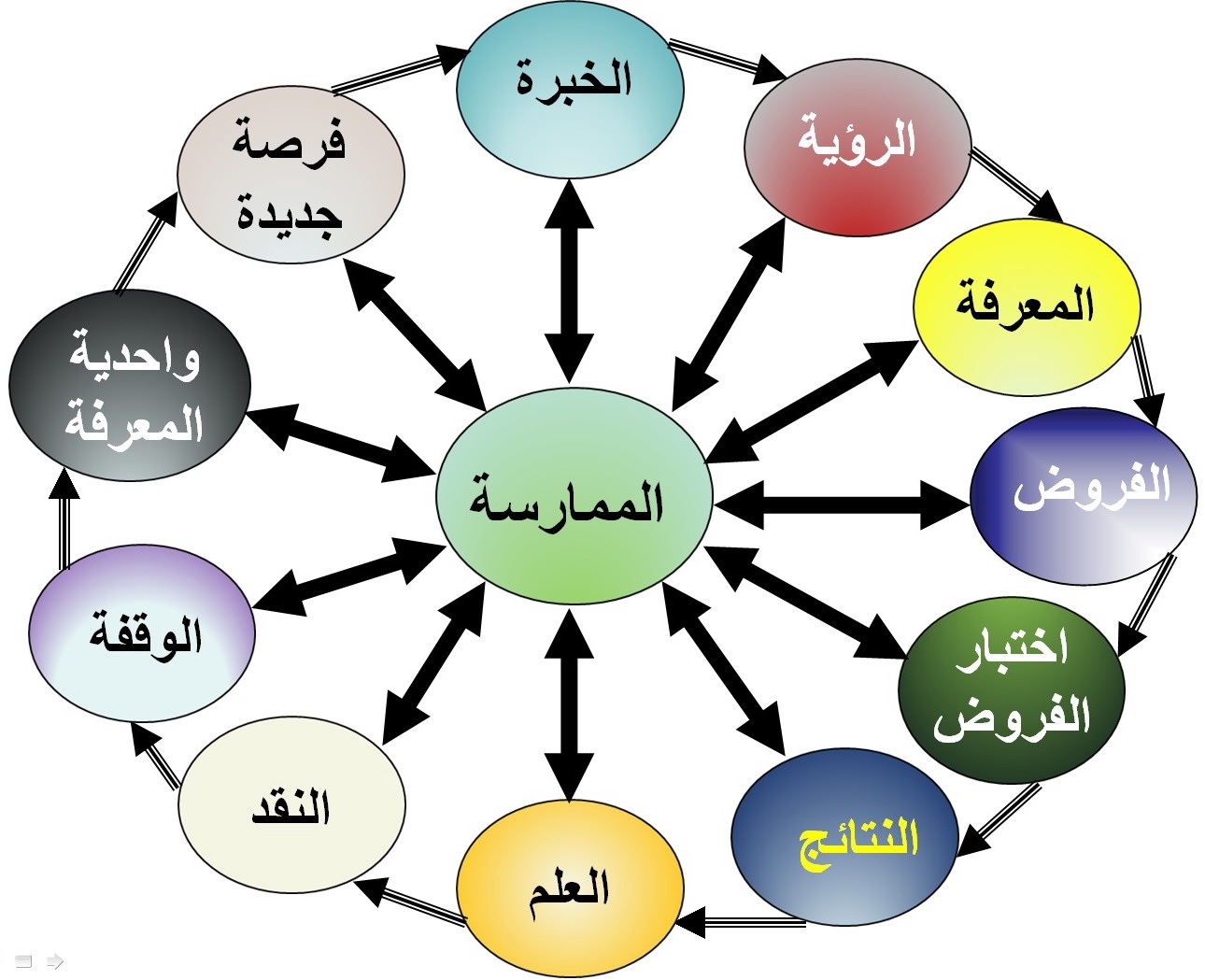 نشرة 8-12-2019